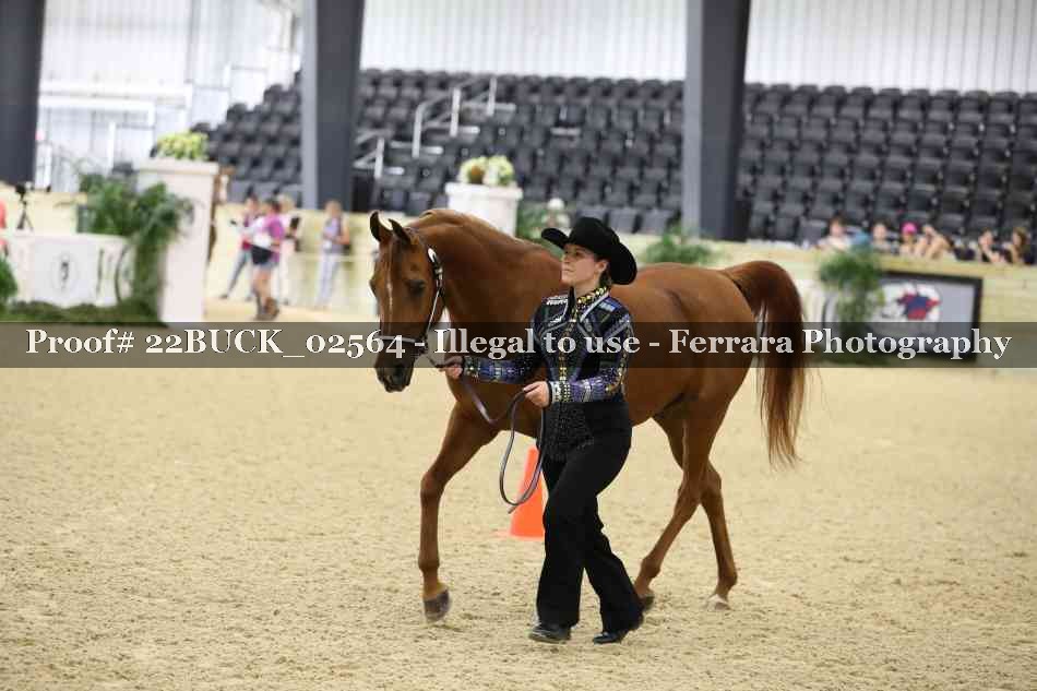 Proof 22BUCK_02564