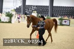 22BUCK_02564 proof