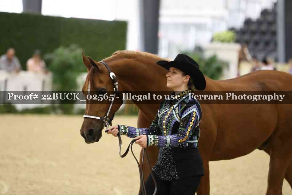 Proof 22BUCK_02565