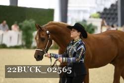 22BUCK_02565 proof