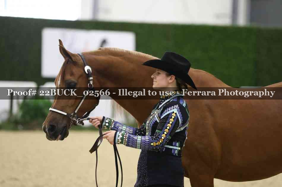 Proof 22BUCK_02566