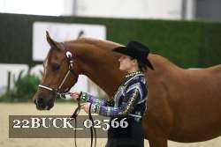 22BUCK_02566 proof