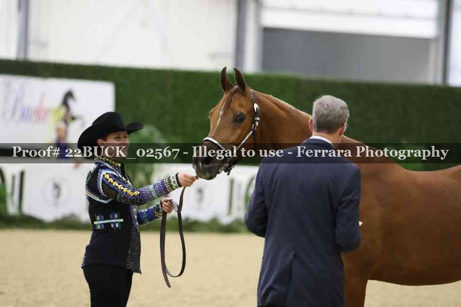 Proof 22BUCK_02567