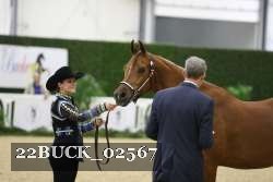 22BUCK_02567 proof