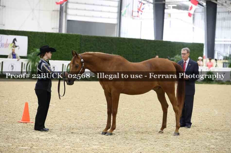 Proof 22BUCK_02568