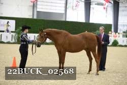 22BUCK_02568 proof