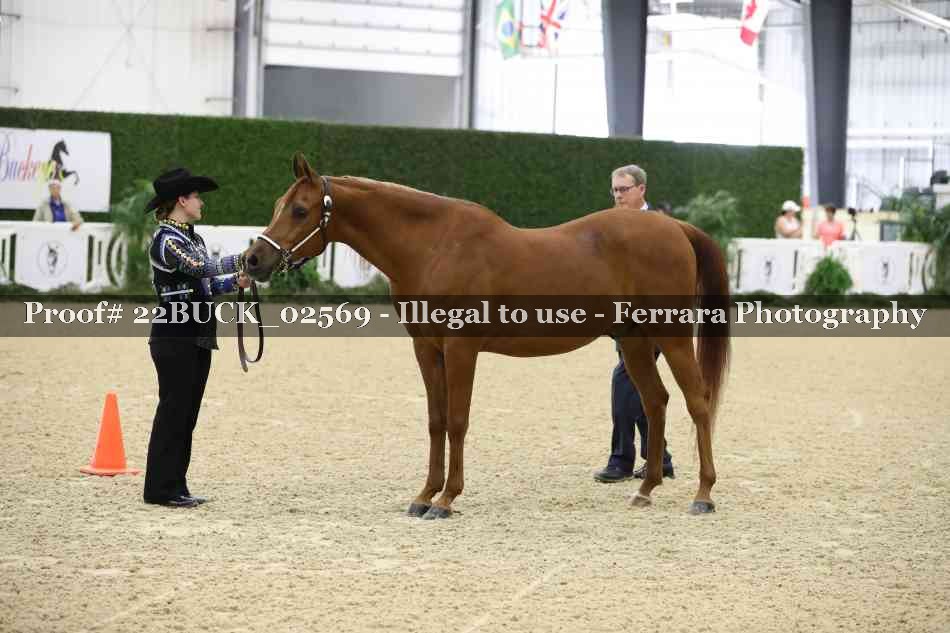 Proof 22BUCK_02569