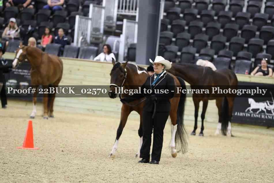 Proof 22BUCK_02570
