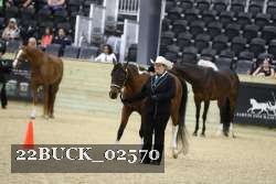 22BUCK_02570 proof