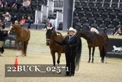 22BUCK_02571 proof