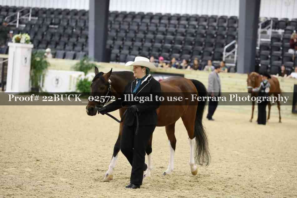 Proof 22BUCK_02572