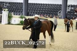22BUCK_02572 proof