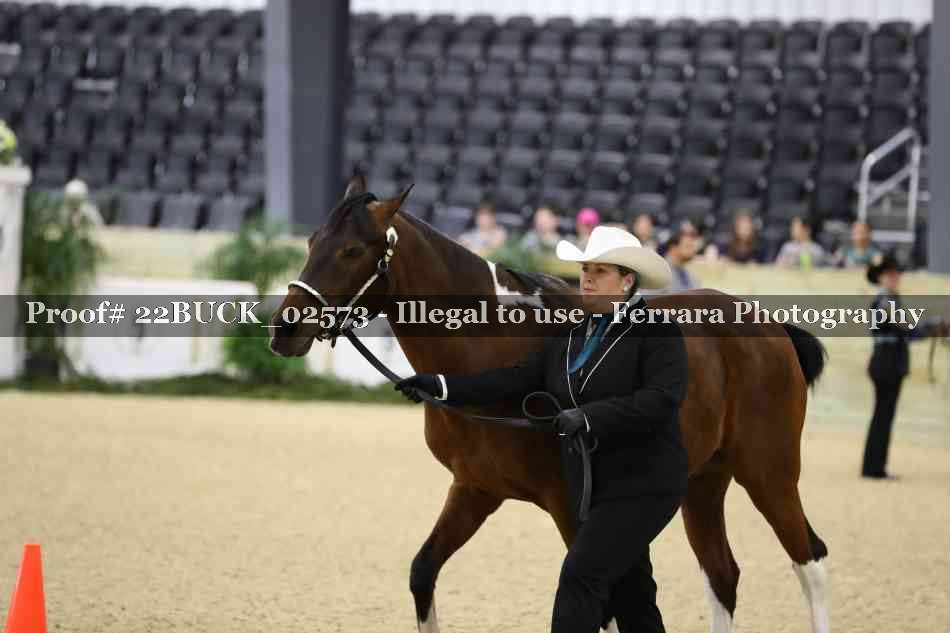 Proof 22BUCK_02573