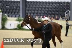 22BUCK_02573 proof