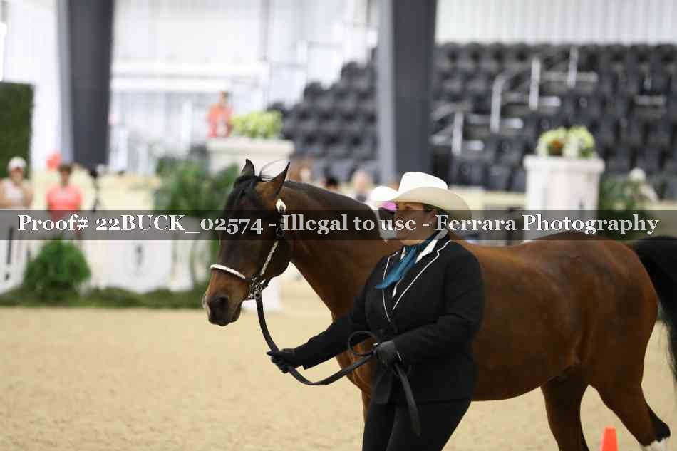 Proof 22BUCK_02574