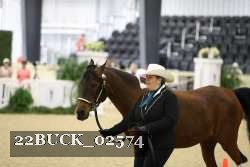 22BUCK_02574 proof