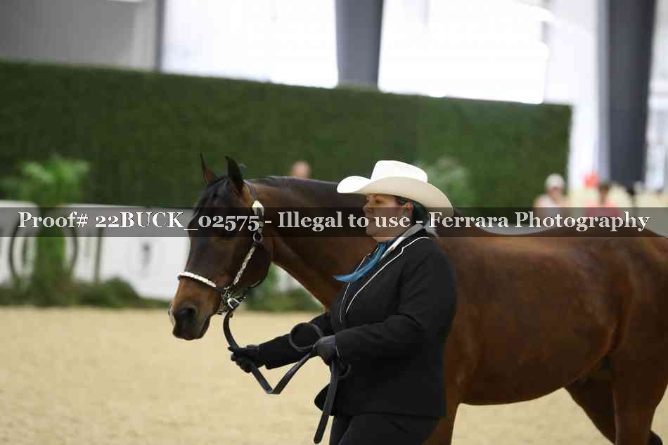 Proof 22BUCK_02575