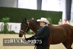 22BUCK_02575 proof