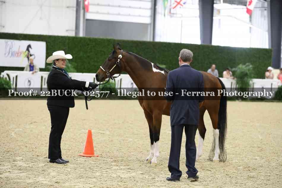 Proof 22BUCK_02577