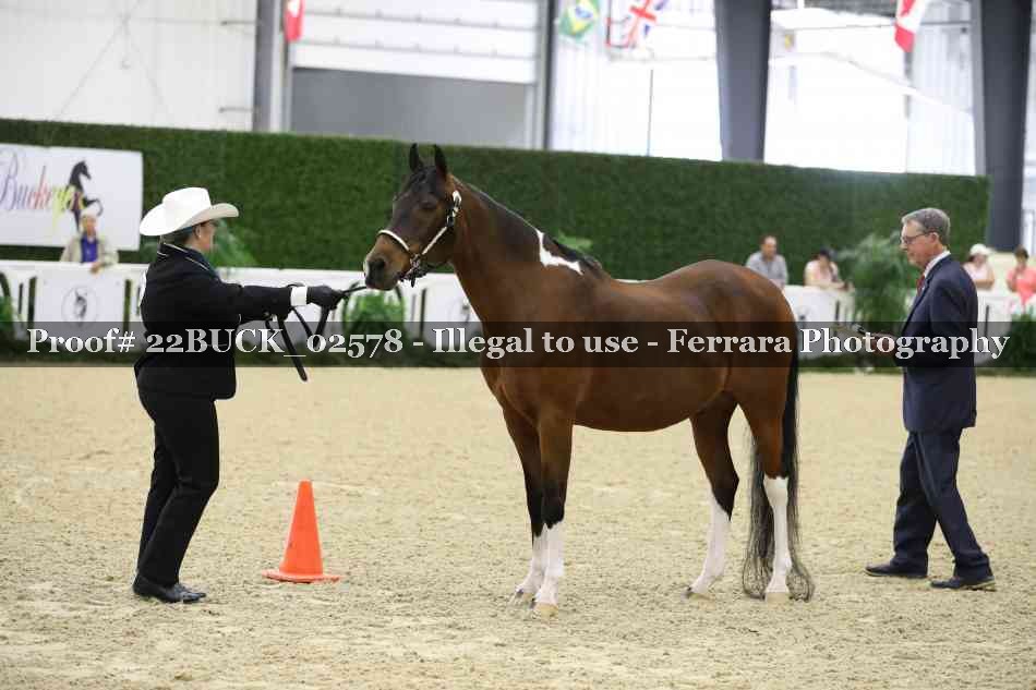 Proof 22BUCK_02578