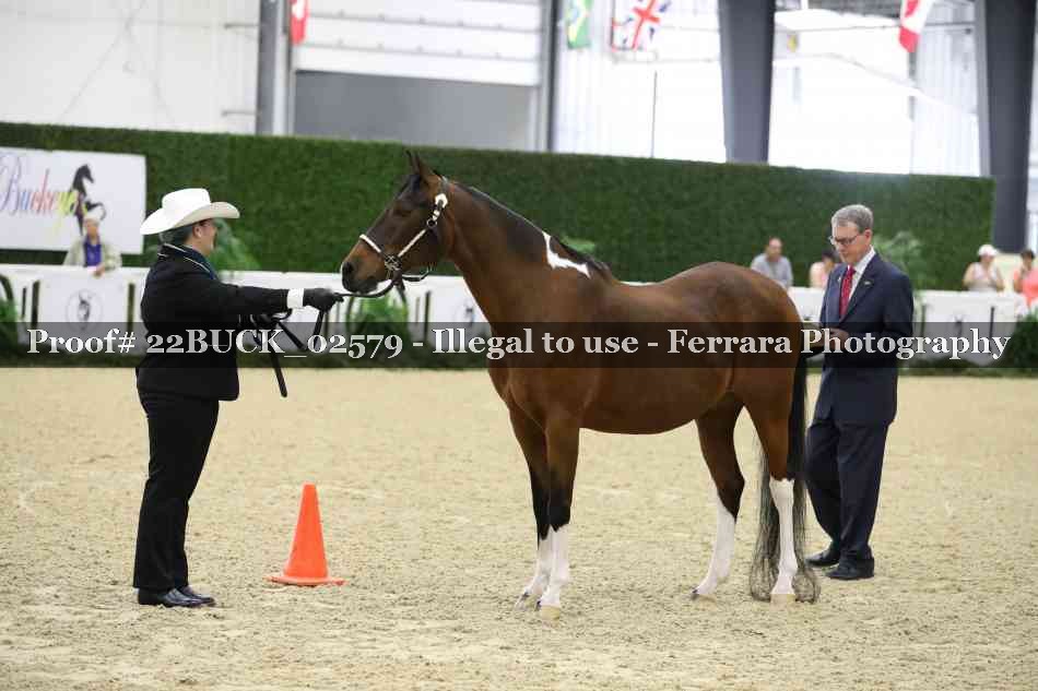 Proof 22BUCK_02579