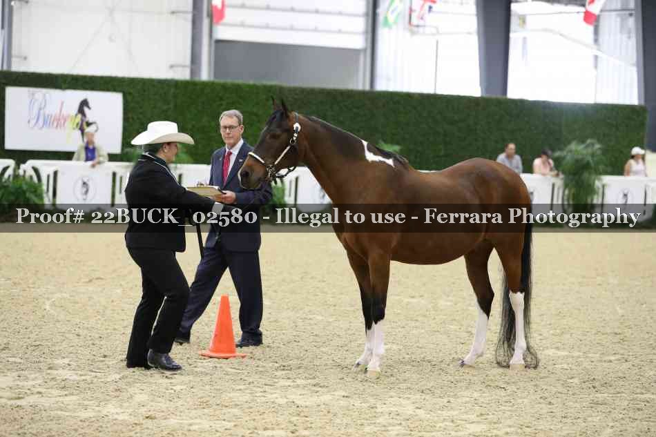 Proof 22BUCK_02580