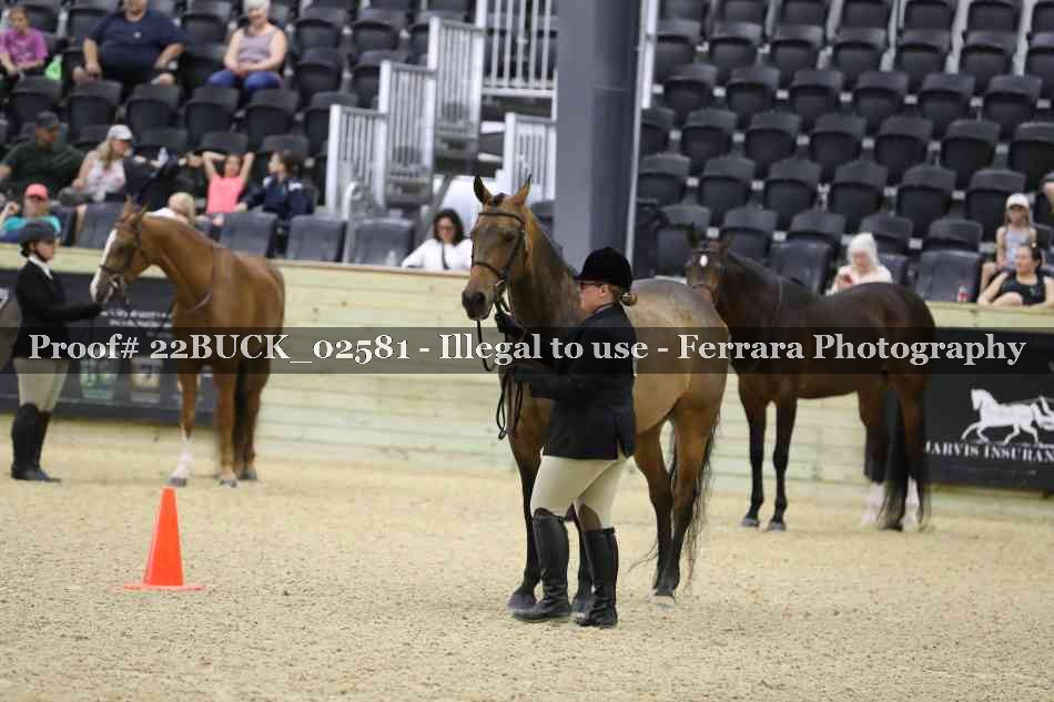 Proof 22BUCK_02581