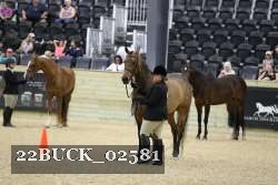 22BUCK_02581 proof