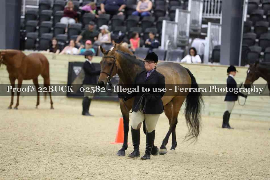 Proof 22BUCK_02582