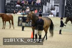 22BUCK_02582 proof