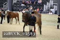22BUCK_02583 proof