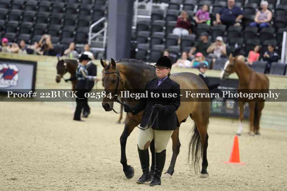 Proof 22BUCK_02584