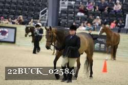 22BUCK_02584 proof