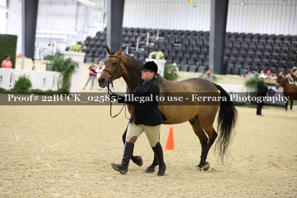 Proof 22BUCK_02585