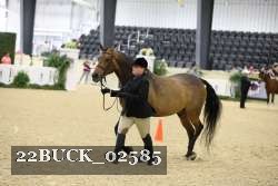 22BUCK_02585 proof