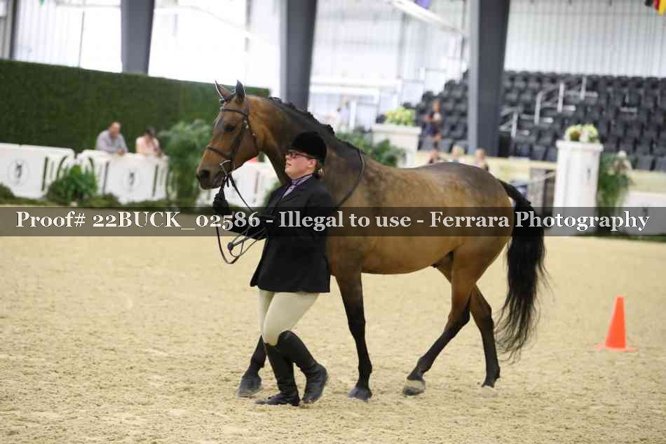 Proof 22BUCK_02586