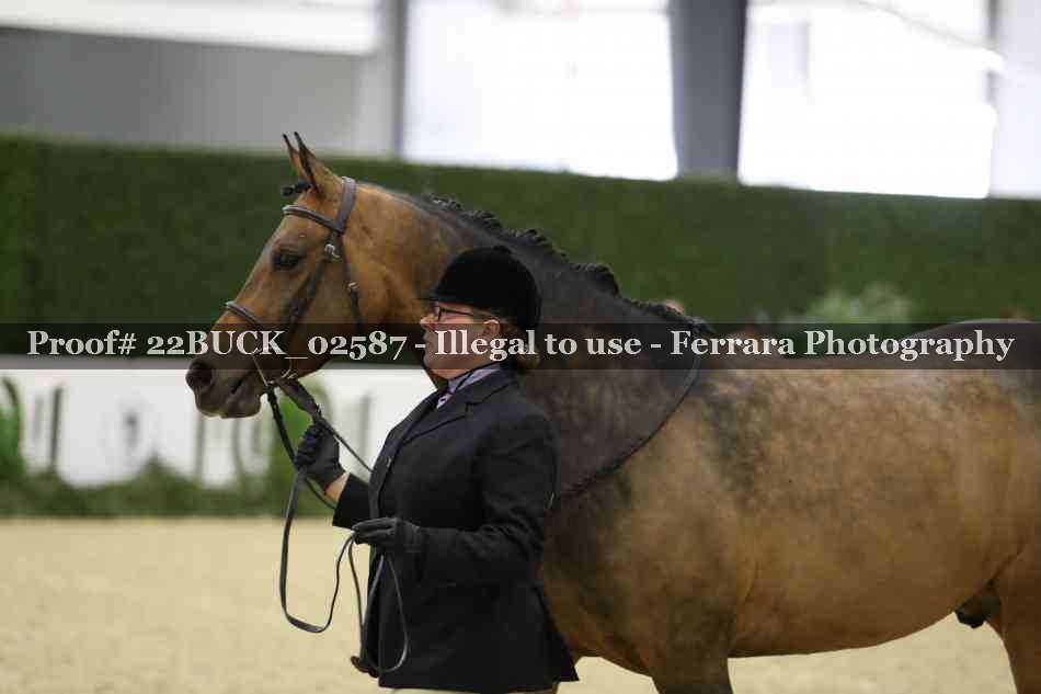 Proof 22BUCK_02587