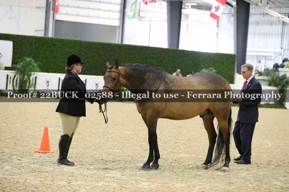 Proof 22BUCK_02588