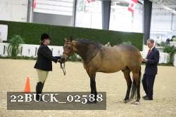 22BUCK_02588 proof