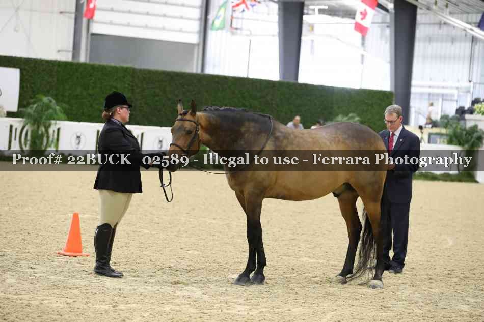 Proof 22BUCK_02589
