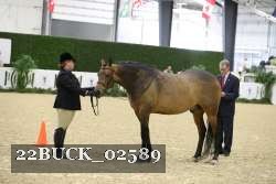 22BUCK_02589 proof