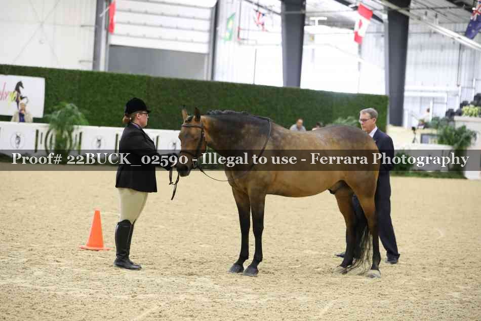Proof 22BUCK_02590