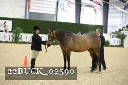 22BUCK_02590 proof