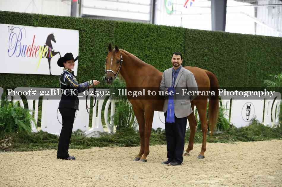 Proof 22BUCK_02592