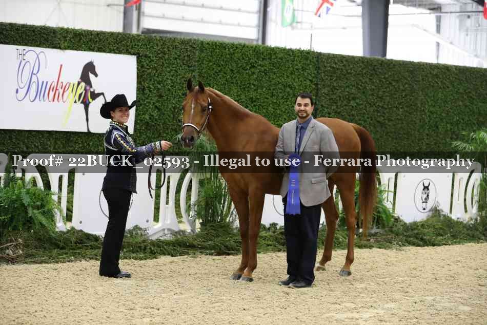 Proof 22BUCK_02593