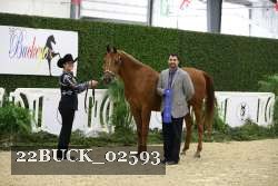 22BUCK_02593 proof