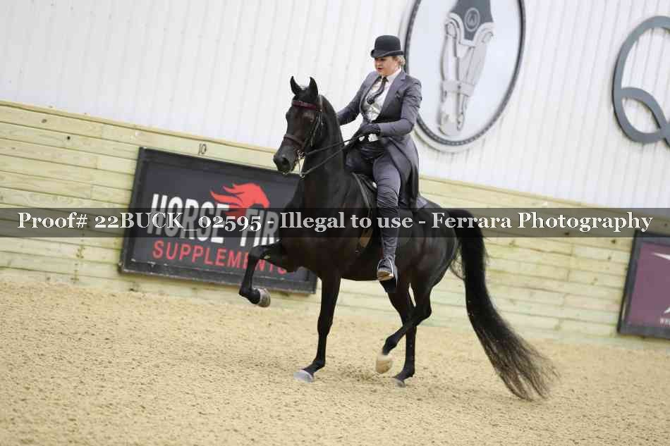 Proof 22BUCK_02595