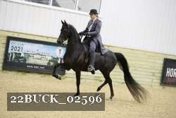 22BUCK_02596 proof
