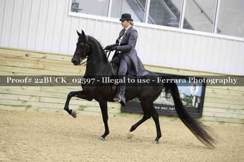 Proof 22BUCK_02597