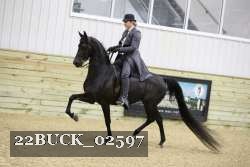 22BUCK_02597 proof